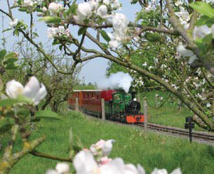 blossom-train.jpg