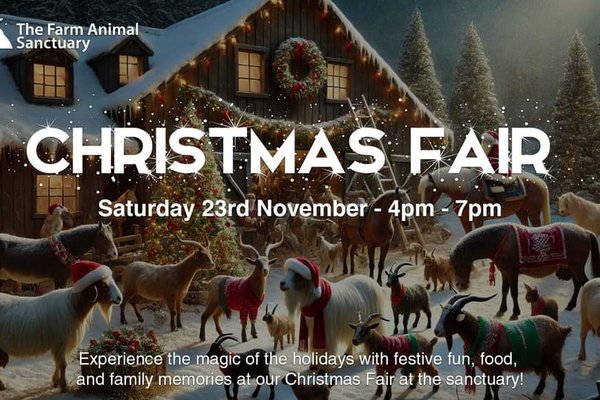 Christmas Fair