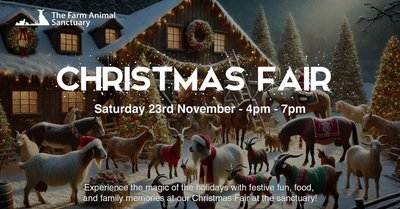 Christmas Fair