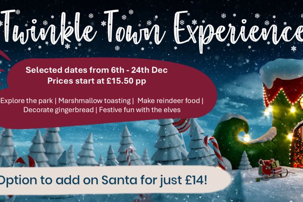 Twinkle Town Christmas Experience