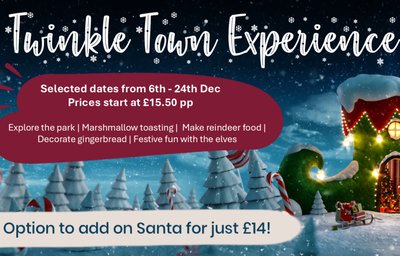 Twinkle Town Christmas Experience