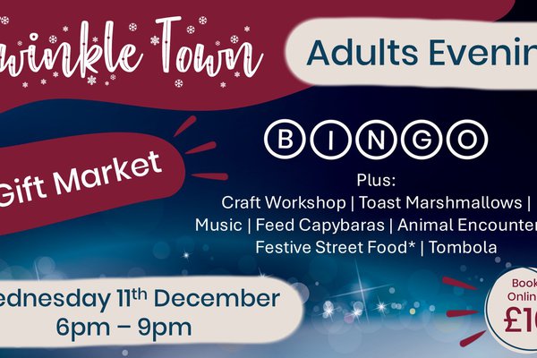 Twinkle Town adults evening