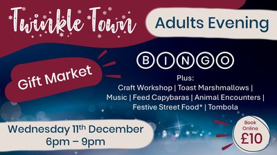 Twinkle Town adults evening