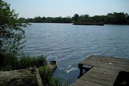 Earlswood lakes.jpg