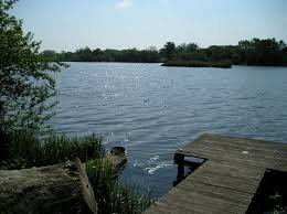 Earlswood lakes.jpg